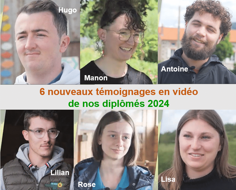 Témoignages de diplômés en vidéo